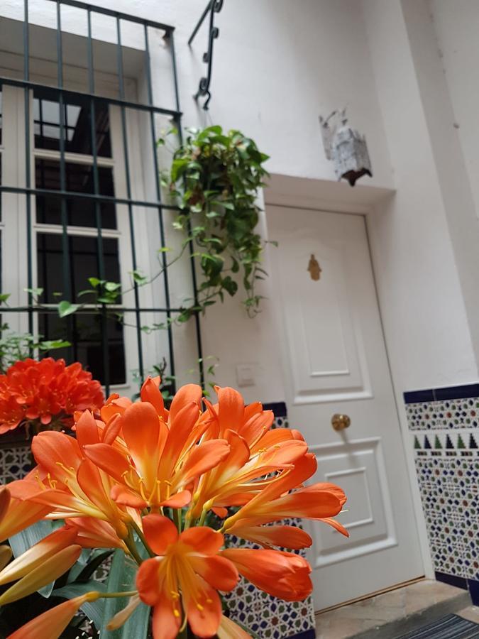 Apartamento Cruz Vieja Jerez de la Frontera Buitenkant foto